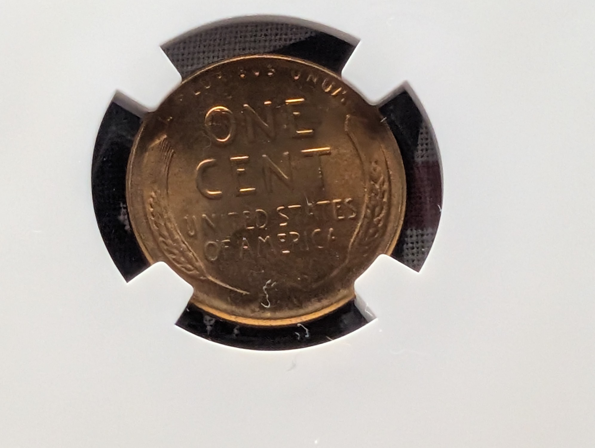1955 Lincoln Wheat Cent - NGC MS66 RD