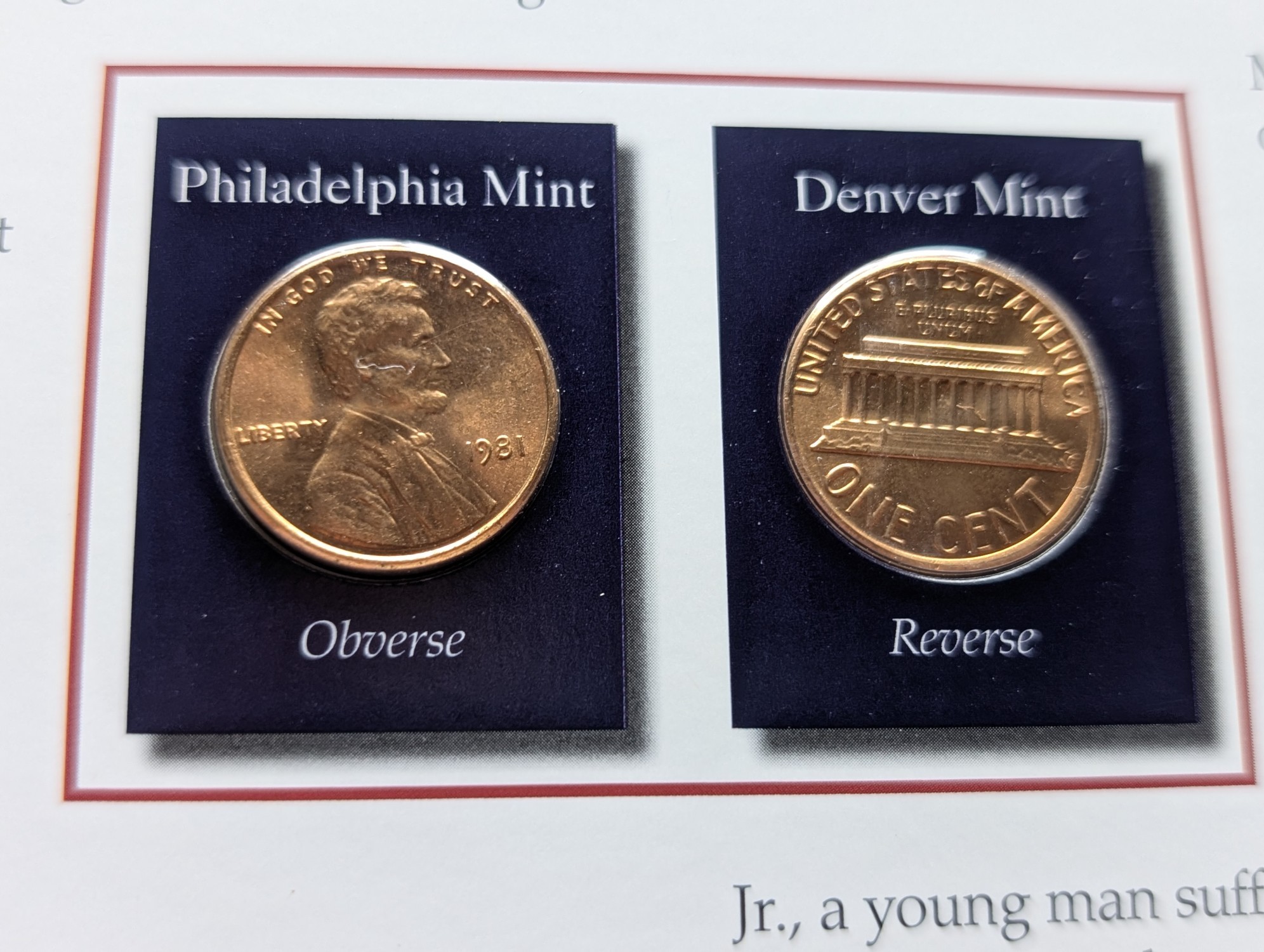 1981 P&D Lincoln Memorial Cent in Info Display Card - UNC