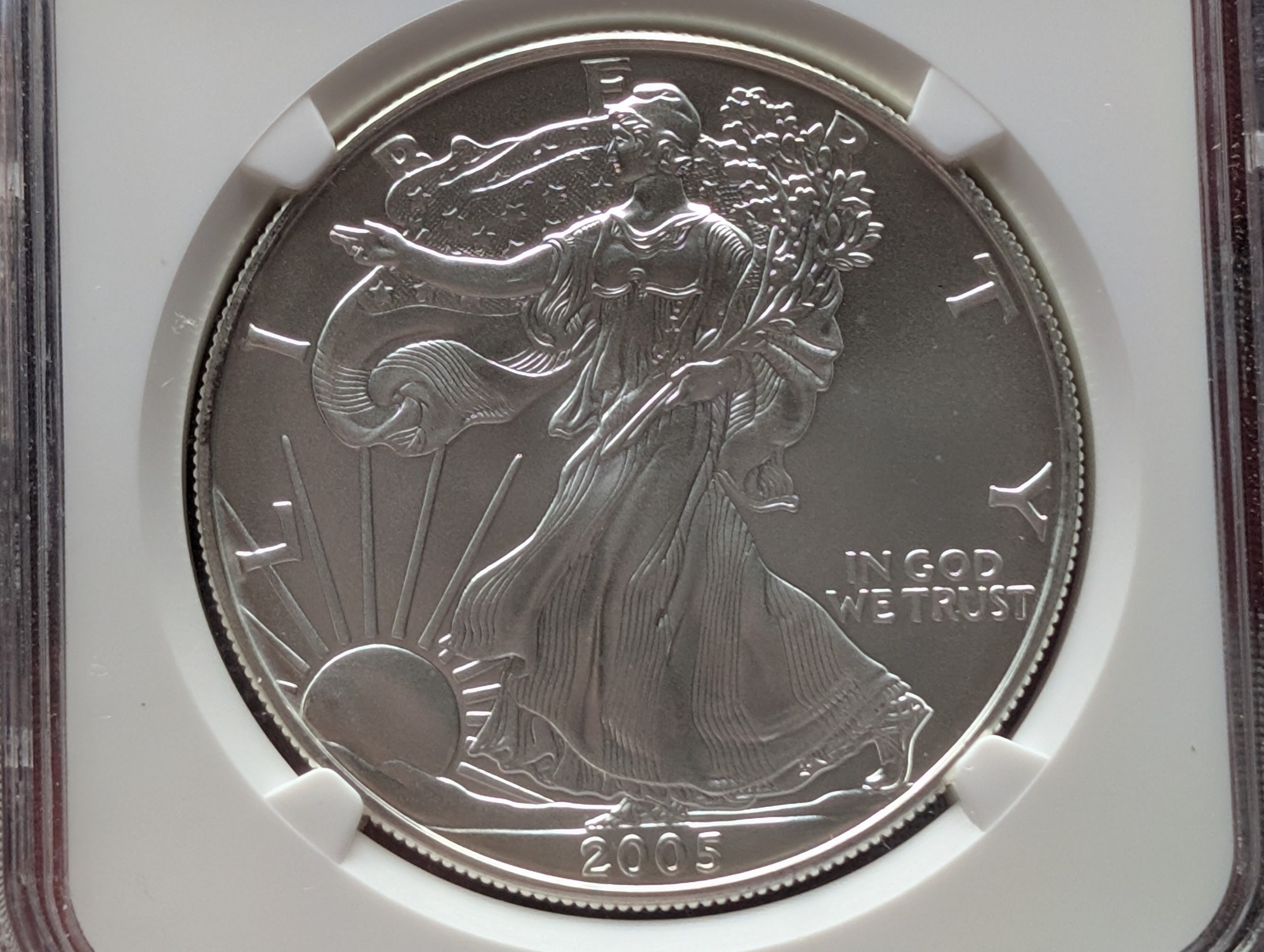 2005 American Silver Eagle 1 Troy Oz. .999 Fine Silver NGC MS69