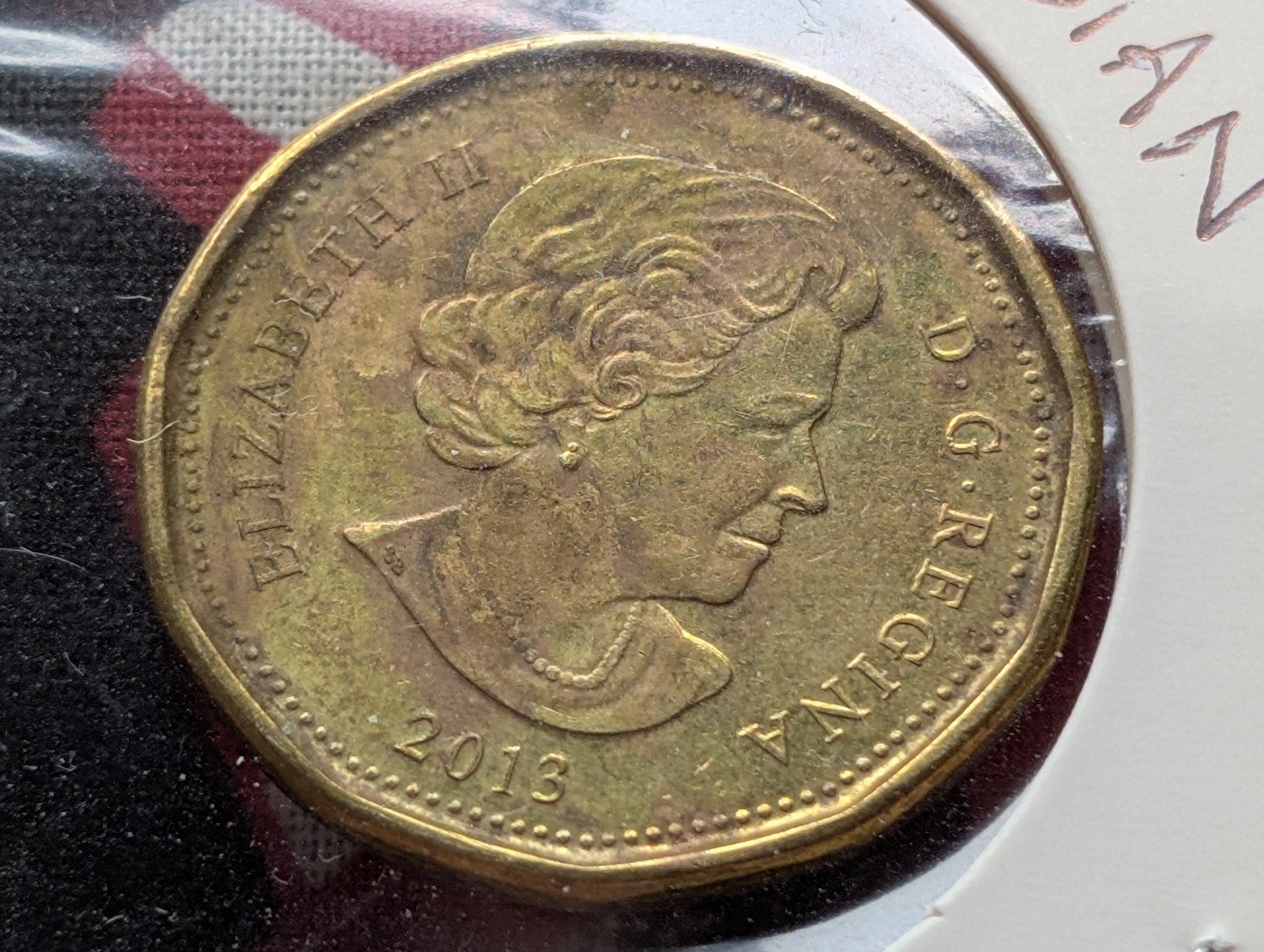 2013 Canadian Looney Dollar