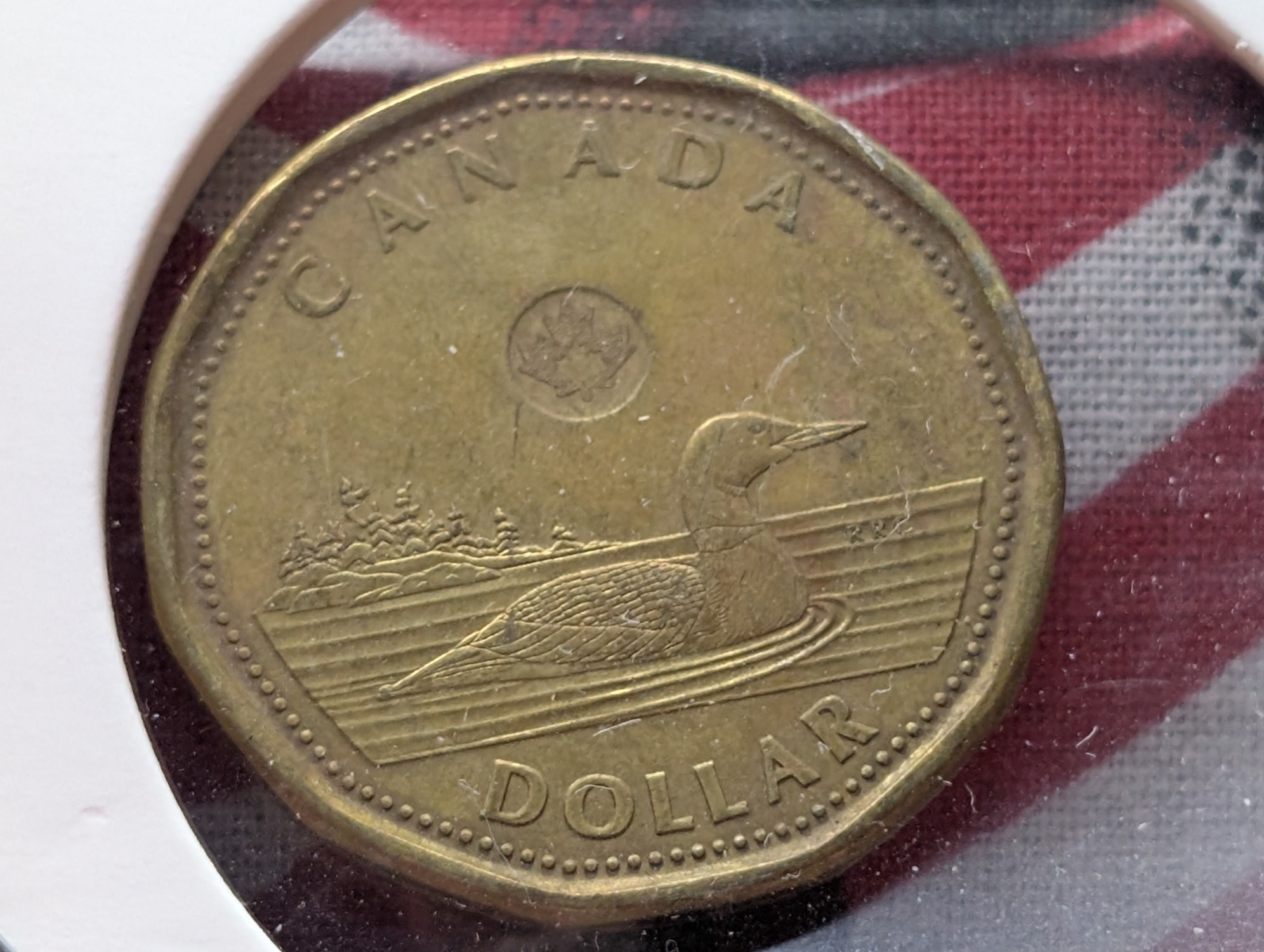 2013 Canadian Looney Dollar
