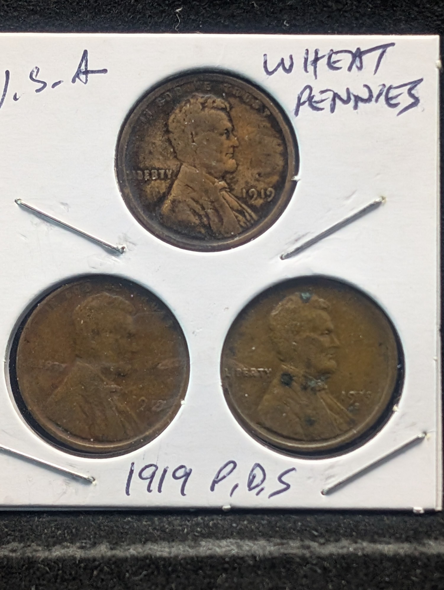 1919 P, D, & S Lincoln Wheat Cents - Complete Year Set!