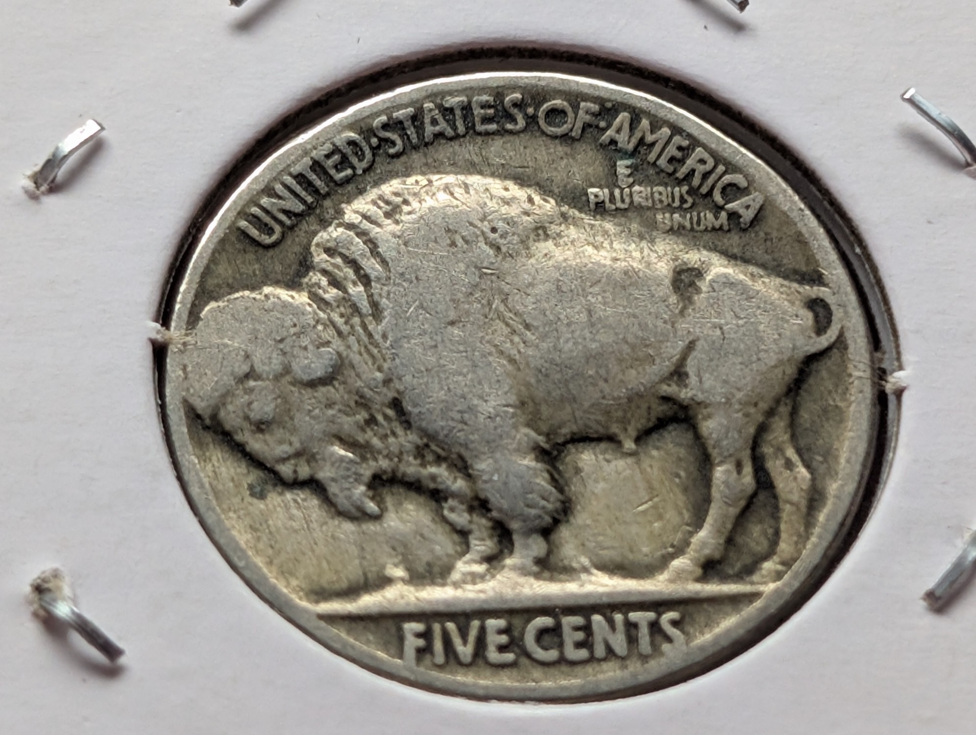 (3) 1919 Indian Head Buffalo Nickels