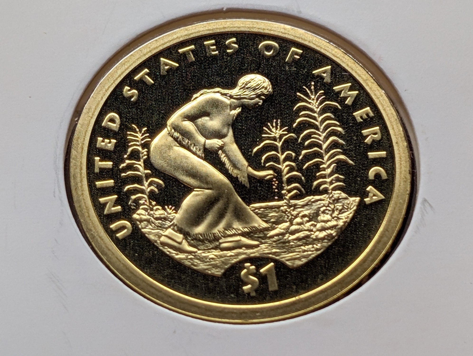2009-S Sacagawea Dollar with Three Sisters Reverse