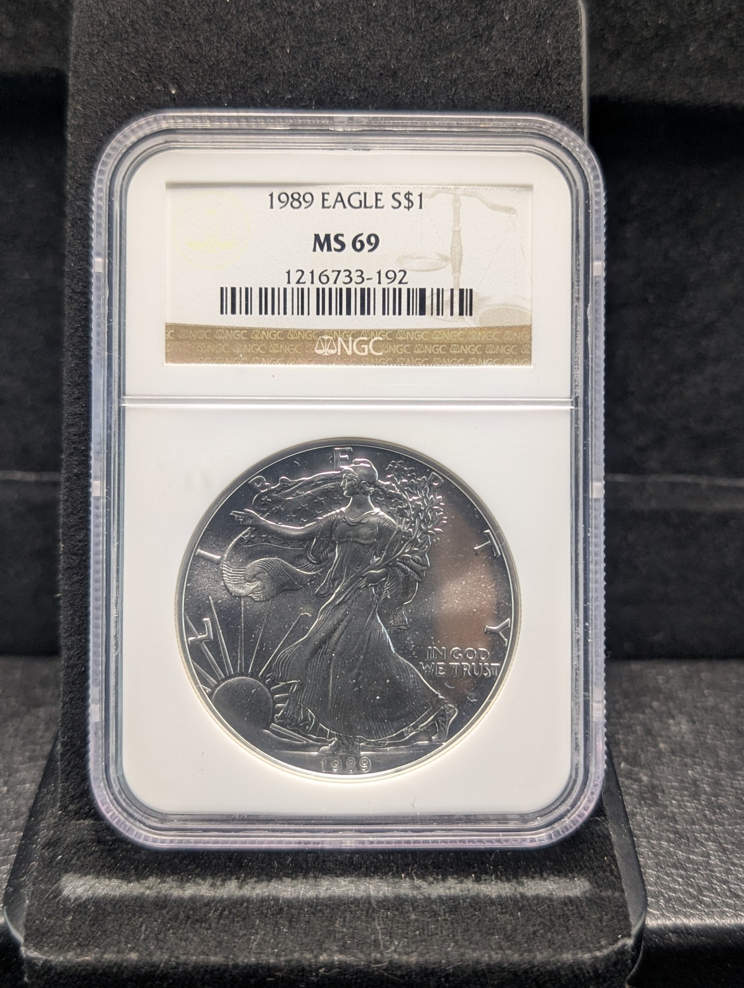 1989 American Silver Eagle 1 Troy Oz. .999 Silver NCG MS 69