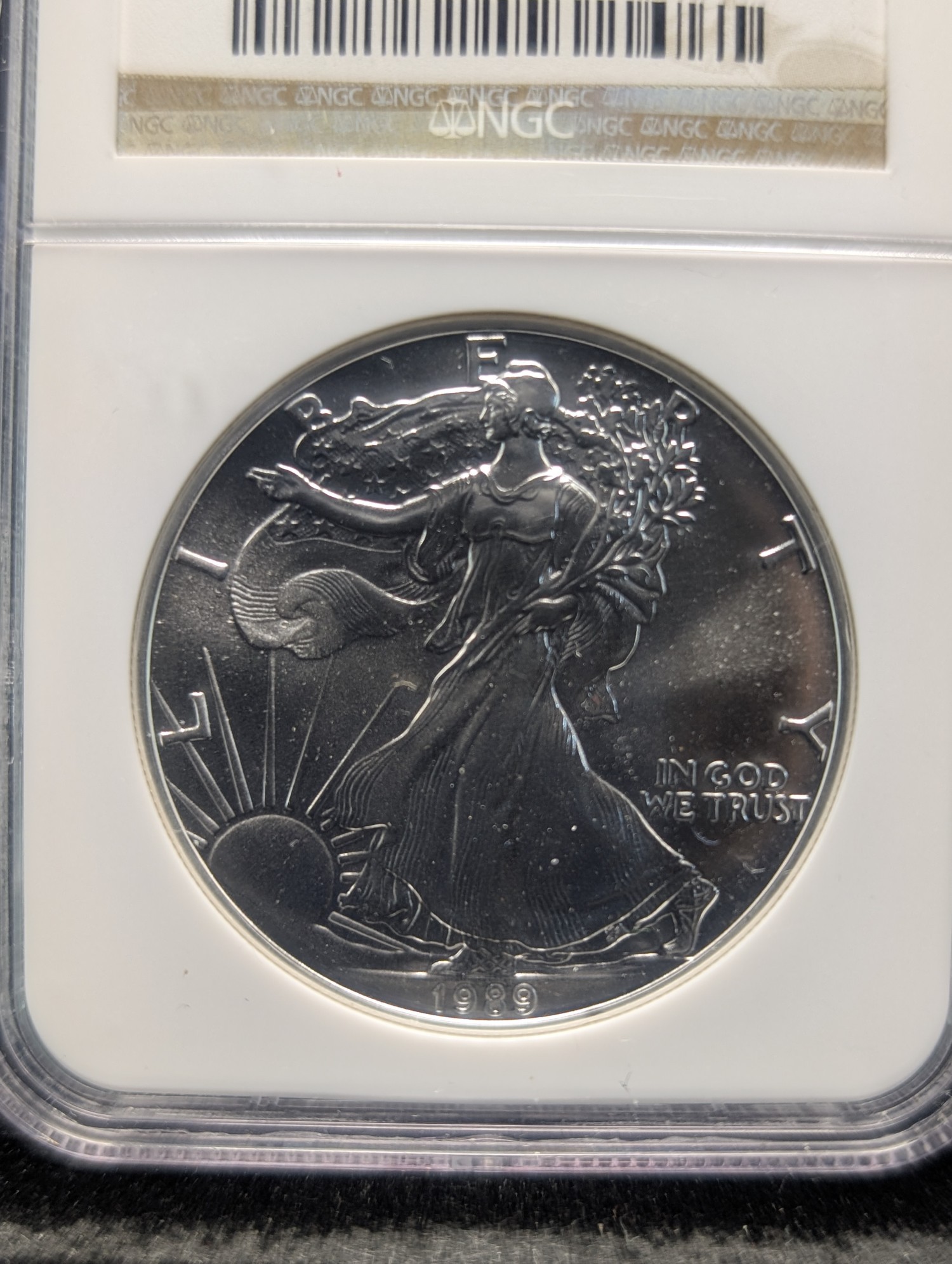 1989 American Silver Eagle 1 Troy Oz. .999 Silver NCG MS 69