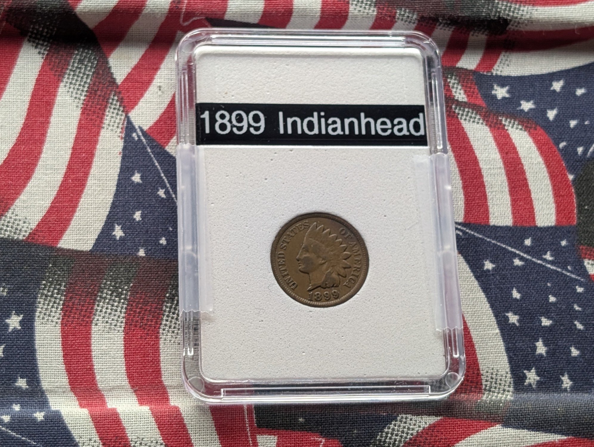 1899 Indian Head Cent