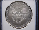 2008-W Burnished American Silver Eagle -NGC MS69 - Near Perfect in Grade!!Изображение - 2