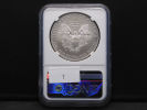 2008-W Burnished American Silver Eagle -NGC MS69 - Near Perfect in Grade!!Изображение - 3