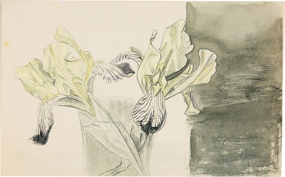 Дмитрий исидорович митрохин картины