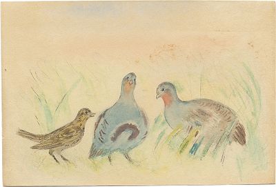 Тырса Николай Андреевич - Куропатки и соловей. 1937 г. Бумага, акварель, графитный карандаш Размер 