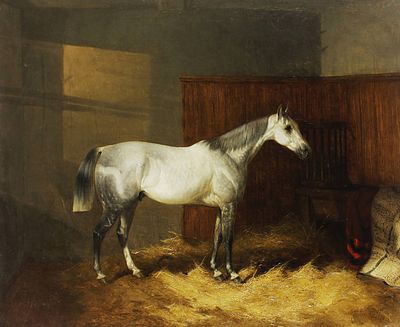 Шайер Уильям Джозеф (младший) (1811-1892), 
"Лошадь в конюшне", 1850 г. Шайер Уильям Джозеф 