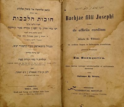 חובות הלבבות עם תרגום עברי ואשכנזי - מהדורה נדירה. וינה, תרי"ד [1854]. ספר תורת חובות הלבבות ( 