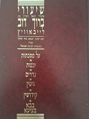 שיעורי רבי ברוך דוב לייבאוויץ, ראש ישיבת כנסת בית יצחק קמניץ, בעל הברכת שמואל. ירושלים, תשנ"א 