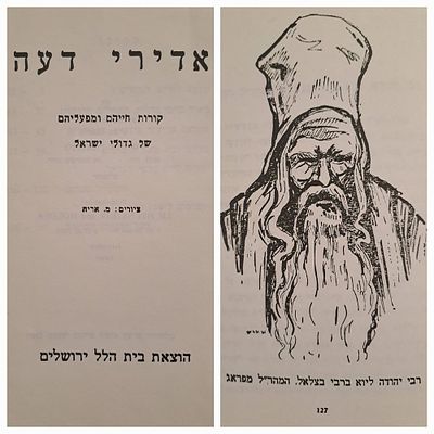 אדירי דעה - קורות חייהם ומפעליהם של גדולי ישראל. מאת אביעזר בורשטין. הוצאת בית הלל ירושלים. 
