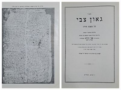 גאון צבי על מסכת חולין - יצא לאור מכת"י הגאון רבי צבי הירש אב"ד רישא ע"י הרב שמעון אפרתי. 