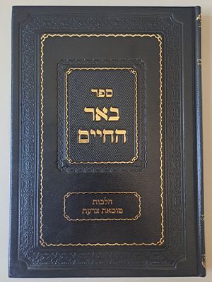 ספר באר החיים - הלכות טומאת צרעת - מאת הרב יעקב לנדו והרב חיים ראז. קרית ספר, תשס"ז. שיטות 