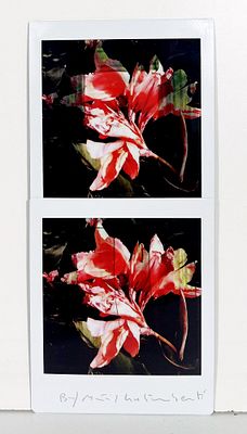 MAURIZIO GALIMBERTI, 7,3 X 15,5 cm, Titolo: "BiFlowers" Mosaico 2 Fujifilm... - MAURIZIO 