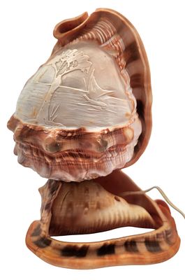 מנורת שולחן איטלקית מקונכיות מגולפת בעבודת קמאו, גובה 18 ס"מ