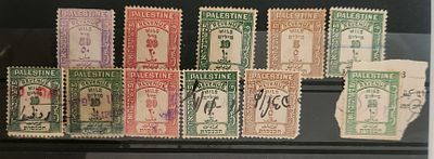 לוט בולי פלשתינה