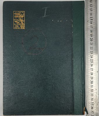 אלבום בולים ישראל, מלא בדלילות