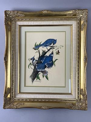 Framed Blue Jay Illustration by C. McKinley. Framed illustration featuring blue jays perched on 