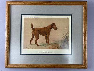 Framed Print of Champion Mile End Barrister. Framed color print featuring the artwork of 