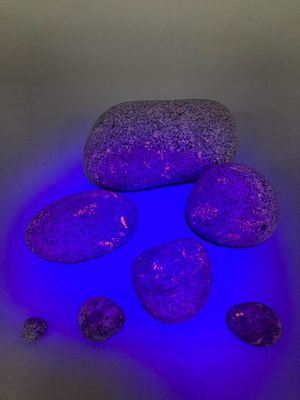 Seven Yooperlite Ultraviolet Reactive Stones. Set of seven natural Yooperlite stones exhibiting 