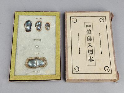 Japanese Cultured Pearl Specimen Display Set. Vintage Japanese educational display devoted to 