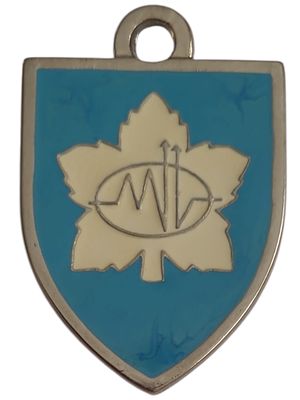 ישראל מדליון פרטי בנושא צבא "מש"א 7000" במשקל 22.14 גרם