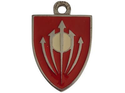 ישראל מדליון פרטי בנושא צבא "בהוקרה עוצבת חיצי האש" במשקל 18.83 גרם