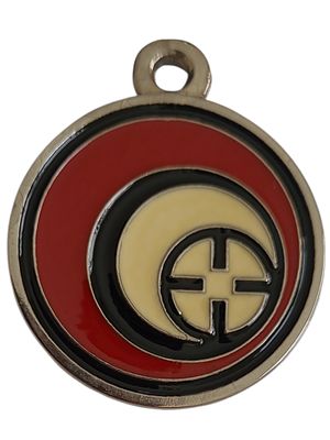 ישראל מדליון פרטי בנושא צבא "בהוקרה מעוצבת קלע דוד" במשקל 20.28 גרם