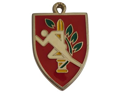 ישראל מדליון פרטי בנושא צבא "בהוקרה בה"ד 8" במשקל 32.84 גרם