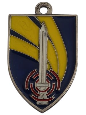 ישראל מדליון פרטי בנושא צבא "חיל הלוגיסטיקה" במשקל 32.84 גרם