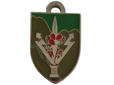 ישראל מדליון פרטי בנושא צבא "בהוקרה והערכה גדוד נופים" במשקל 16.4 גרם