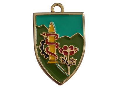 ישראל מדליון פרטי בנושא צבא "אגד תחזוקה - עוצבת גליל" במשקל 17.56 גרם