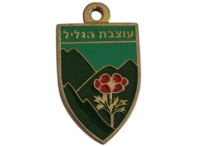 ישראל מדליון פרטי בנושא צבא "עוצבת גליל" במשקל 21.28 גרם