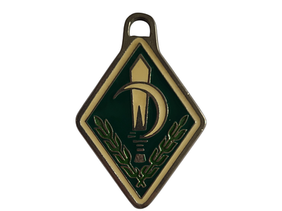 ישראל מדליון פרטי בנושא צבא "איתנו לנח"ל" במשקל 18.32 גרם