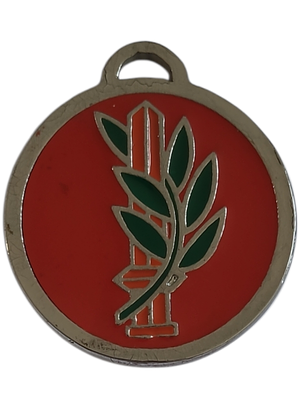 ישראל מדליון פרטי בנושא צבא "בה"ד 1" בקוטר 45 מ"מ במשקל 23.44 גרם