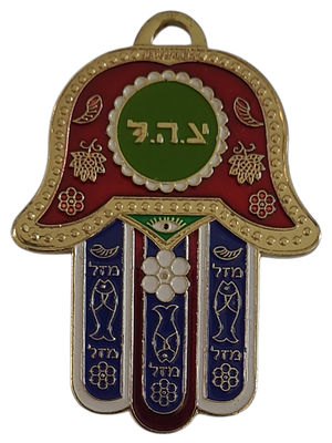 ישראל מדליון פרטי בנושא צבא בצורת חמסה "צ.ה.ל" במשקל 21.08 גרם