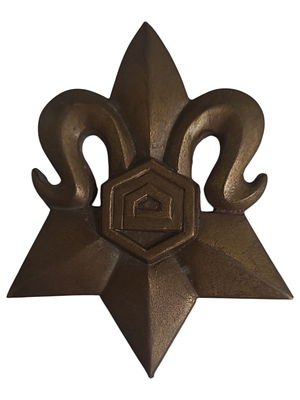 ישראל מדליה פרטית "משטרת ישראל" במשקל 60.6 גרם