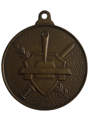 ישראל מדליון פרטי בנושא צבא "טנק מול מגן וחרב" בקוטר 35 מ"מ במשקל 15.2 גרם