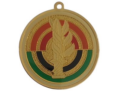 ישראל מדליון פרטי בנושא צבא "זרוע היבשה" בקוטר 36 מ"מ במשקל 6.88 גרם