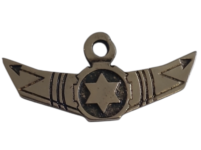 ישראל מדליון פרטי בנושא צבא "המערך הטכני מצוינים ביחד" במשקל 8.06 גרם