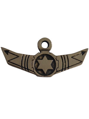 ישראל מדליון פרטי בנושא צבא "המערך הטכני מצוינים ביחד" במשקל 7.99 גרם