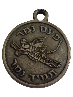 ישראל מדליון פרטי בנושא צבא "סגירת טייסת 102 המבצעית" בקוטר 36 מ"מ במשקל 19.72 גרם