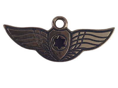 ישראל מדליון פרטי בנושא צבא "טקס סיום קורס 160 1.7.2010" במשקל 13.36 גרם