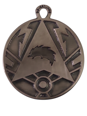 ישראל מדליון פרטי בנושא צבא "טייסת 157" בקוטר 40 מ"מ במשקל 18.2 גרם