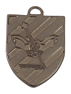 ישראל מדליון פרטי בנושא צבא "בהוקרה מהיחידה" במשקל 19.33 גרם