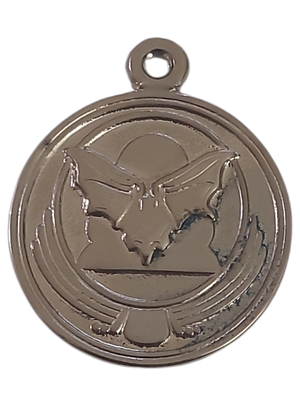 ישראל מדליון פרטי בנושא צבא "ביום בליל ובערפל - 119 סופה" בקוטר 44 מ"מ במשקל 26.72 גרם